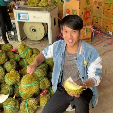 金枕榴莲一手批发市场