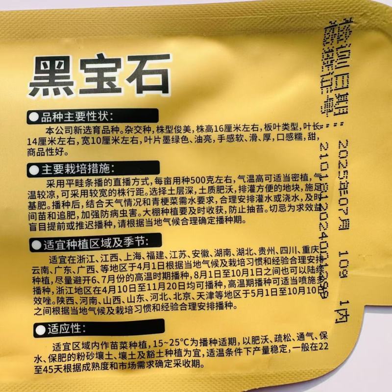 晓富黑宝石青梗菜种子杂交油亮墨绿叶青菜种子口感甜糯青菜种