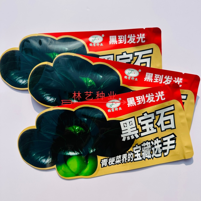 黑宝石青梗菜种子杂交苏州青油亮墨绿叶青菜种子口感甜糯