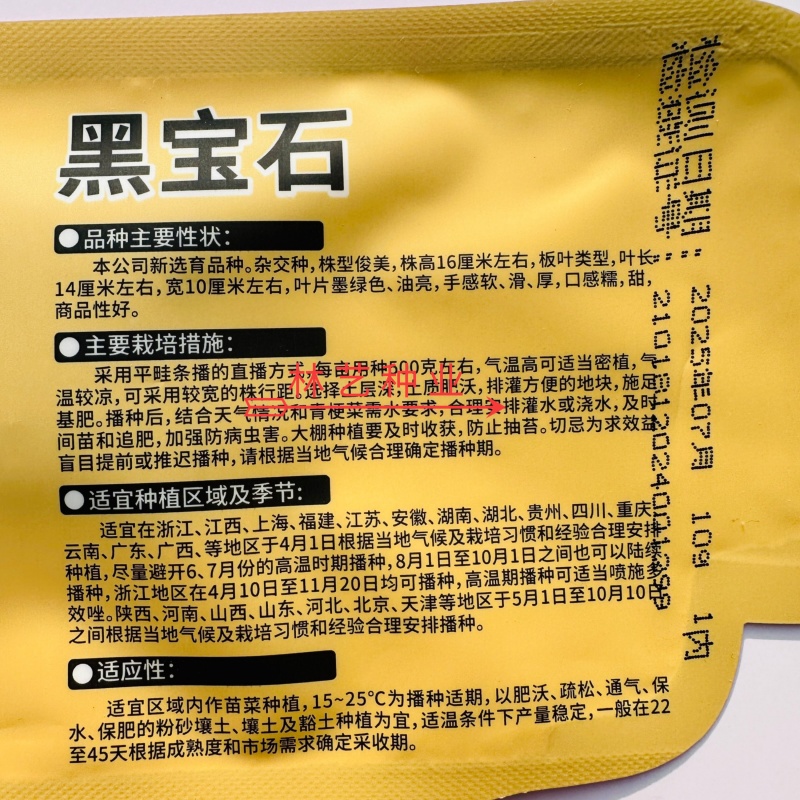 黑宝石青梗菜种子杂交苏州青油亮墨绿叶青菜种子口感甜糯