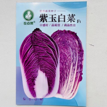 紫白菜种子营养里外紫色大白菜四季播种庭院田地农科院有机蔬