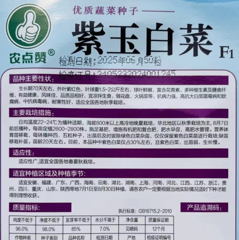 紫白菜种子营养里外紫色大白菜四季播种庭院田地农科院有机蔬
