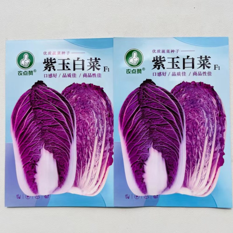 紫白菜种子营养里外紫色大白菜四季播种庭院田地农科院有机蔬