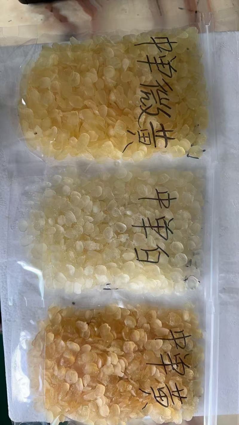 【产地供货】专业供应皂角米规格齐全诚寻长期合作伙伴