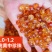 【源头直采】精磨桃胶胶质丰富严格筛选品质保证