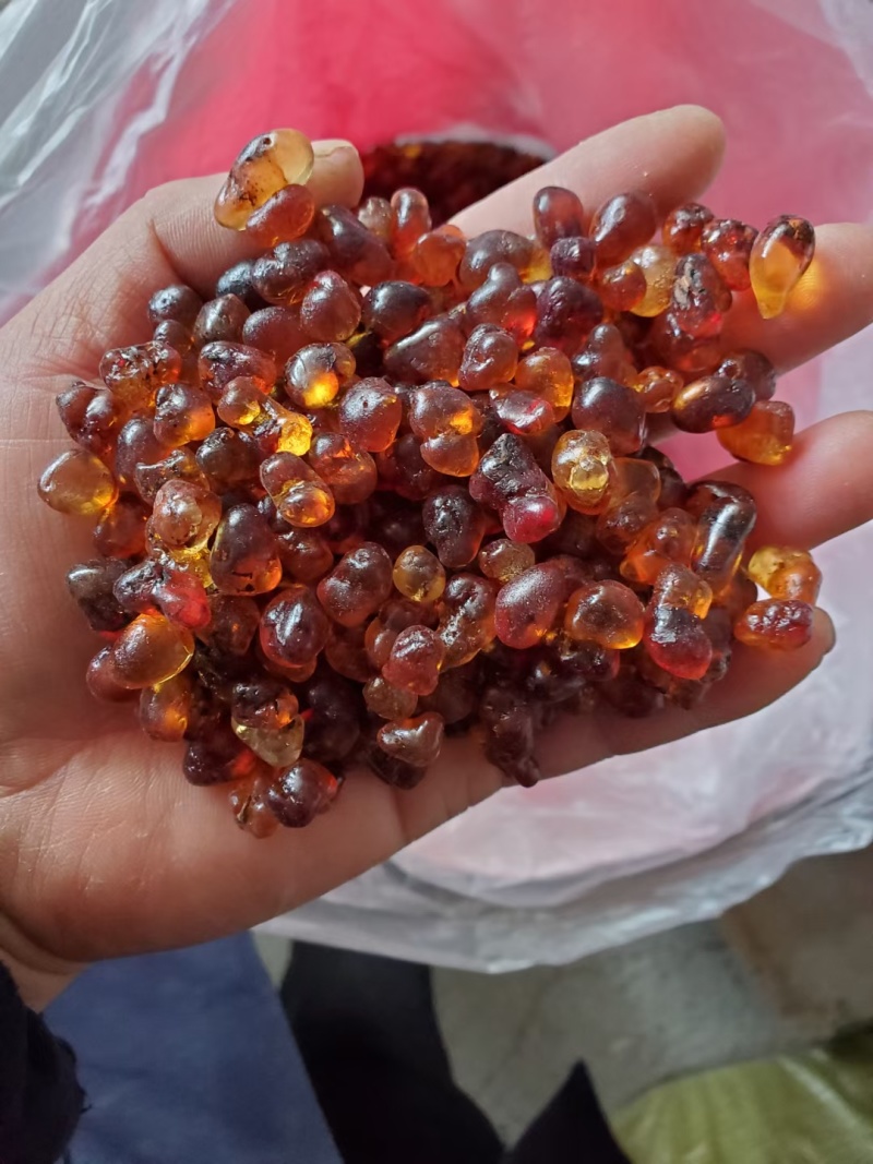 【源头直采】精磨桃胶胶质丰富严格筛选品质保证