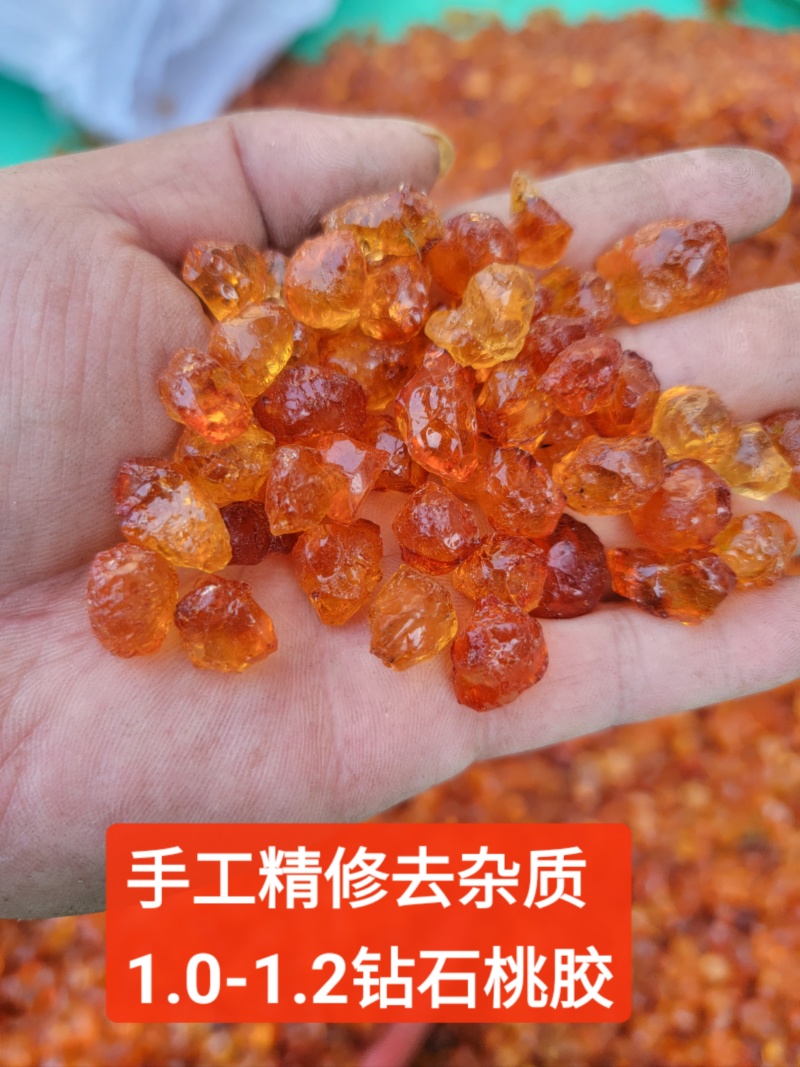 【稳定供应】精修优质桃胶颗粒饱满杂质少欢迎咨询合作