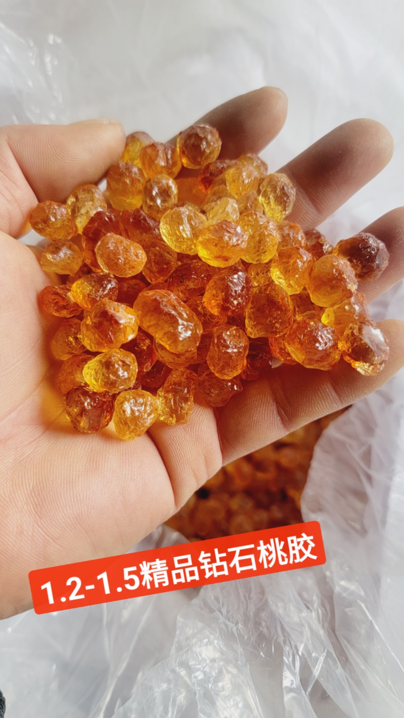 【稳定供应】精修优质桃胶颗粒饱满杂质少欢迎咨询合作