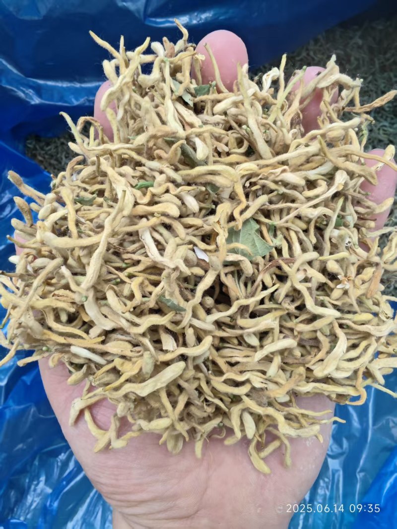 【厂家直发】精品金银花烘干常年供应欢迎咨询合作
