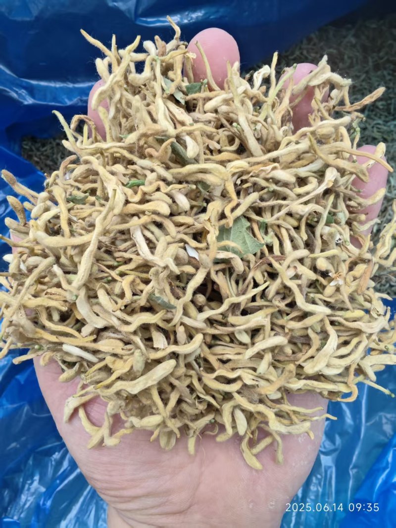 【厂家直发】精品金银花烘干常年供应欢迎咨询合作
