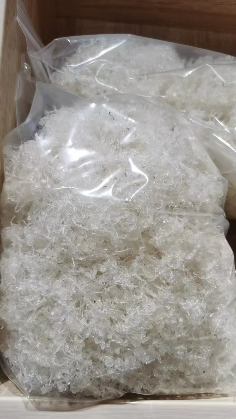 【产地直采】专业供应雪燕规格齐全诚寻长期合作伙伴