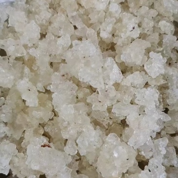 【产地直采】专业供应雪燕规格齐全诚寻长期合作伙伴