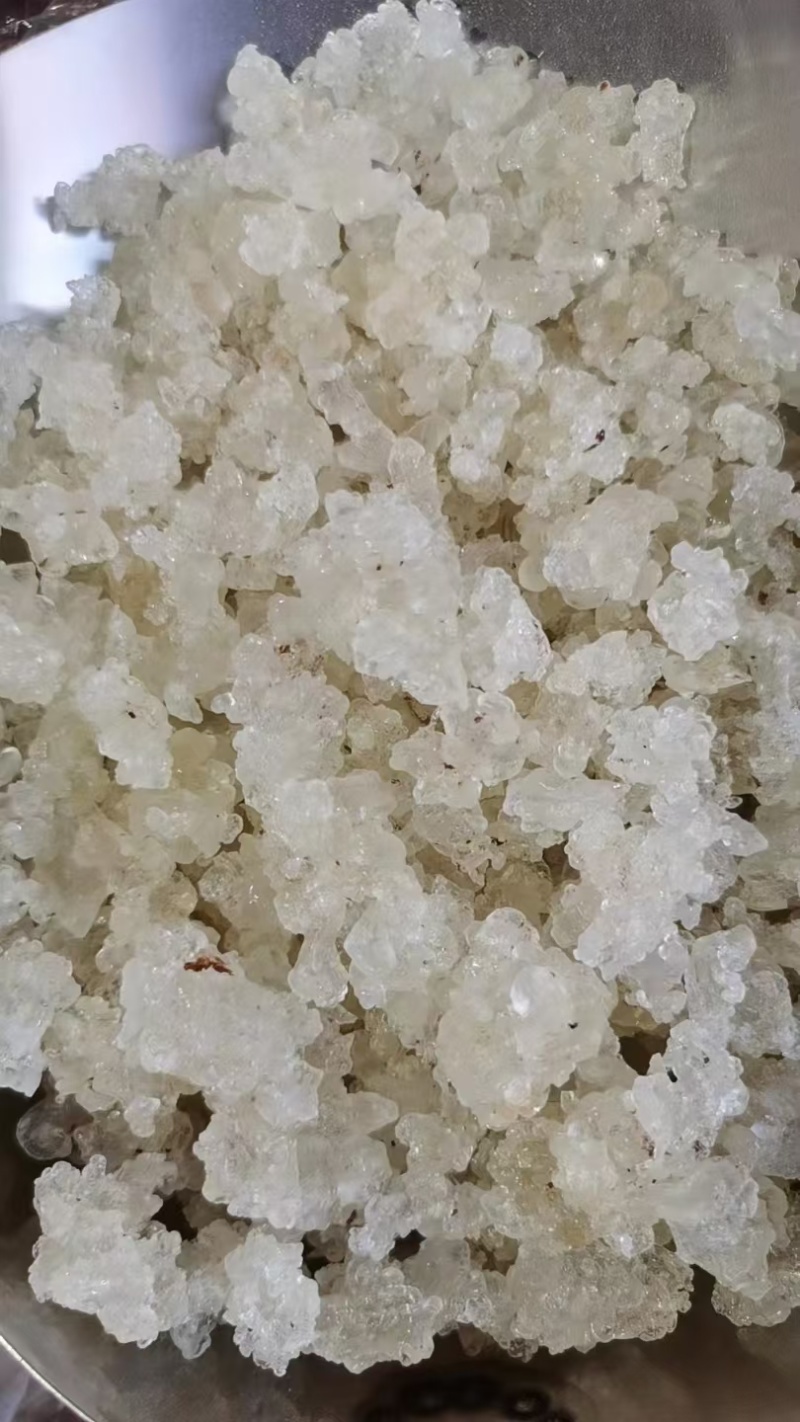 【产地直采】专业供应雪燕规格齐全诚寻长期合作伙伴