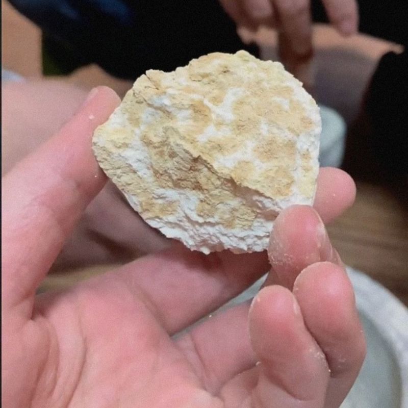 传统纯手工制作酵母引子发面曲头老面酵子面