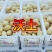 沃土荷兰希森土豆大量上市诚信为本质量好并有专业团队为你服务