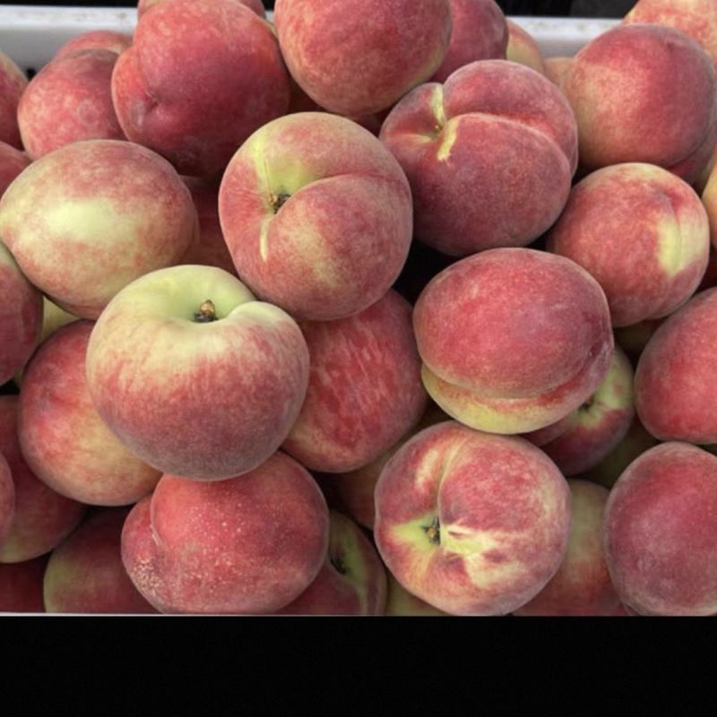 水蜜桃产地直供一手货源品质好价格低欢迎来电