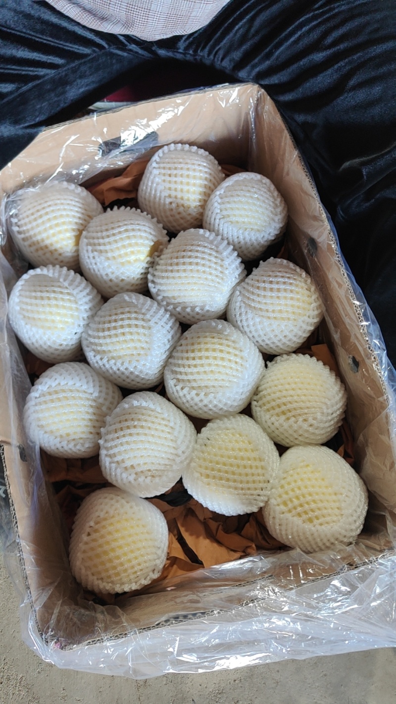 精品无残金帅苹果