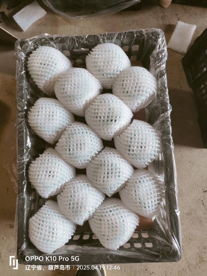 精品无残金帅苹果