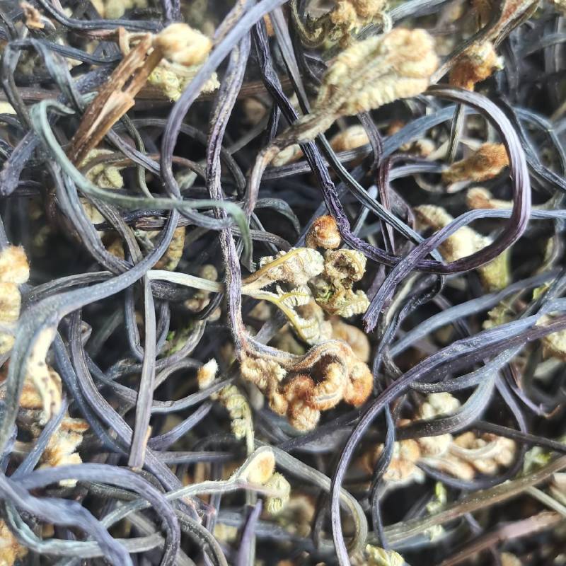蕨菜干龙爪菜