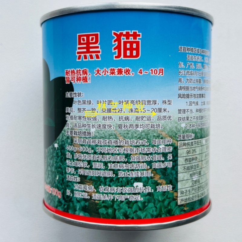 黑猫青梗菜种子耐热耐寒抗病束腰黑绿叶青菜种籽叶柄亮绿春