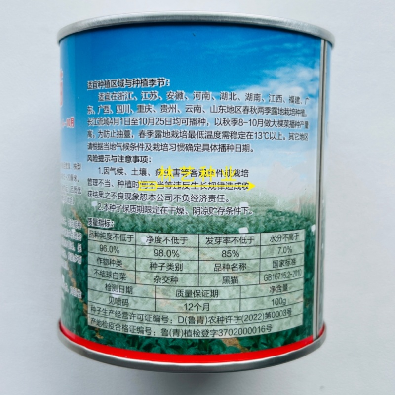黑猫青梗菜种子耐热耐寒抗病束腰黑绿叶青菜种籽叶柄亮绿春