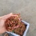 陕西大红袍鲜花椒产地直供品种保障新鲜采摘