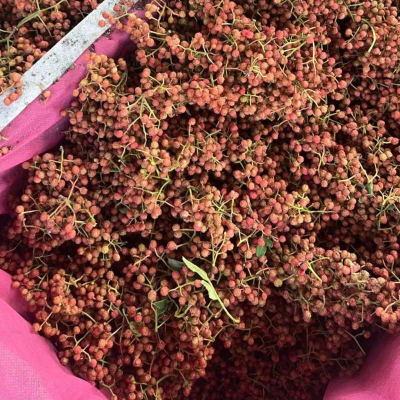 鲜红花椒，青椒，麻椒，鲜大红袍花椒，大颗粒，净货