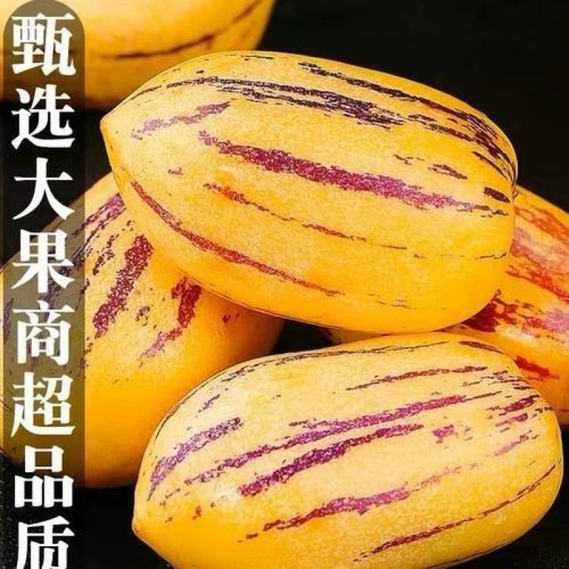 顺丰甘肃民勤黄肉人参果新鲜采摘产地直发带箱5斤坏果包赔