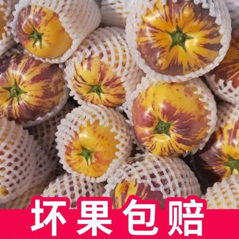 顺丰甘肃民勤黄肉人参果新鲜采摘产地直发带箱5斤坏果包赔