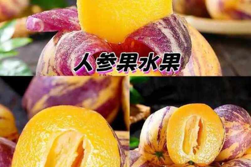 顺丰甘肃民勤黄肉人参果新鲜采摘产地直发带箱5斤坏果包赔