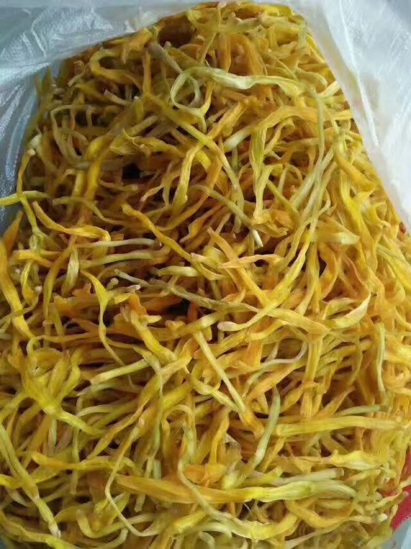 河南千亩黄花菜基地直销量大质优价格优惠欢迎咨询采购