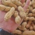 花生新鲜湿花生，产地河南开封祥符区大量供应中
