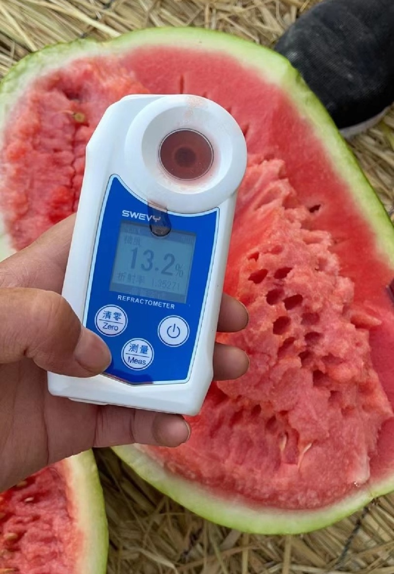 宁夏中卫硒砂西瓜，质量三包，专业验货团队西瓜超甜超好吃