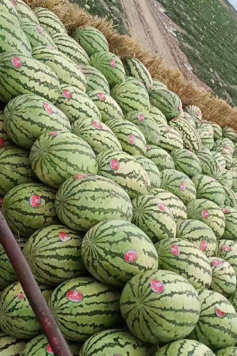 宁夏中卫硒砂西瓜，质量三包，专业验货团队西瓜超甜超好吃
