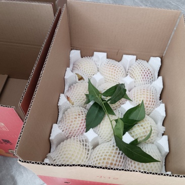 脆甜皮球桃
