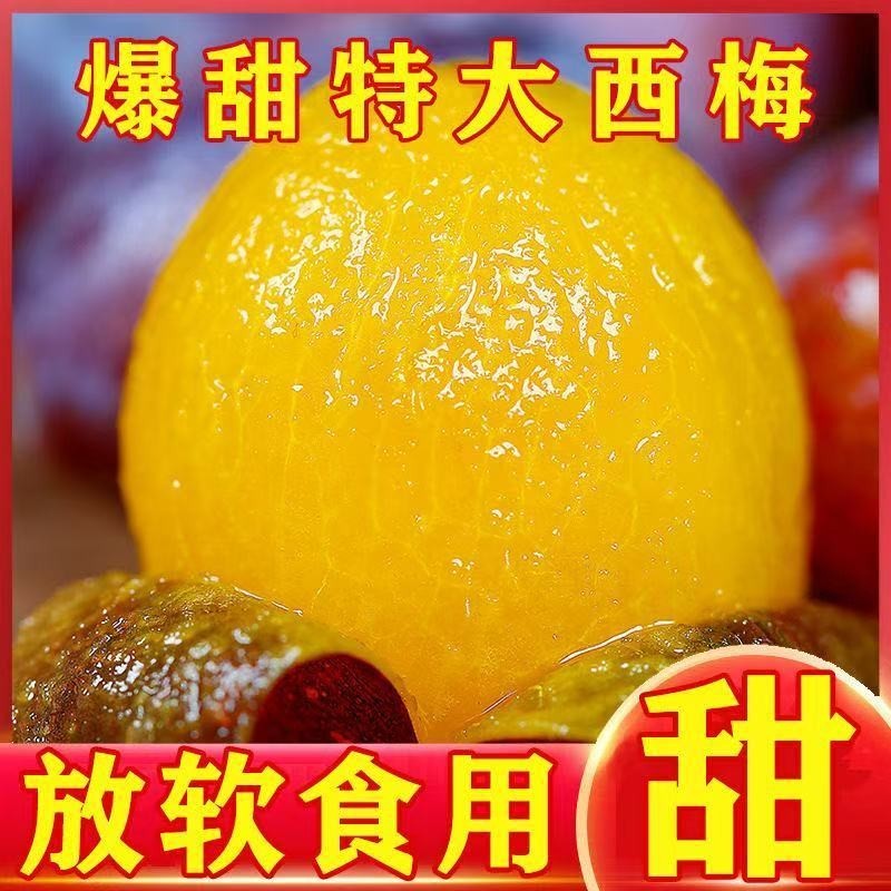 西梅一件代发