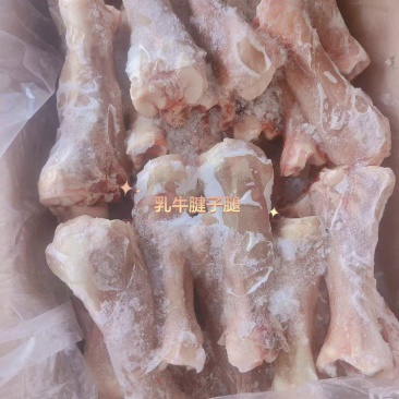 乳牛腱子腿