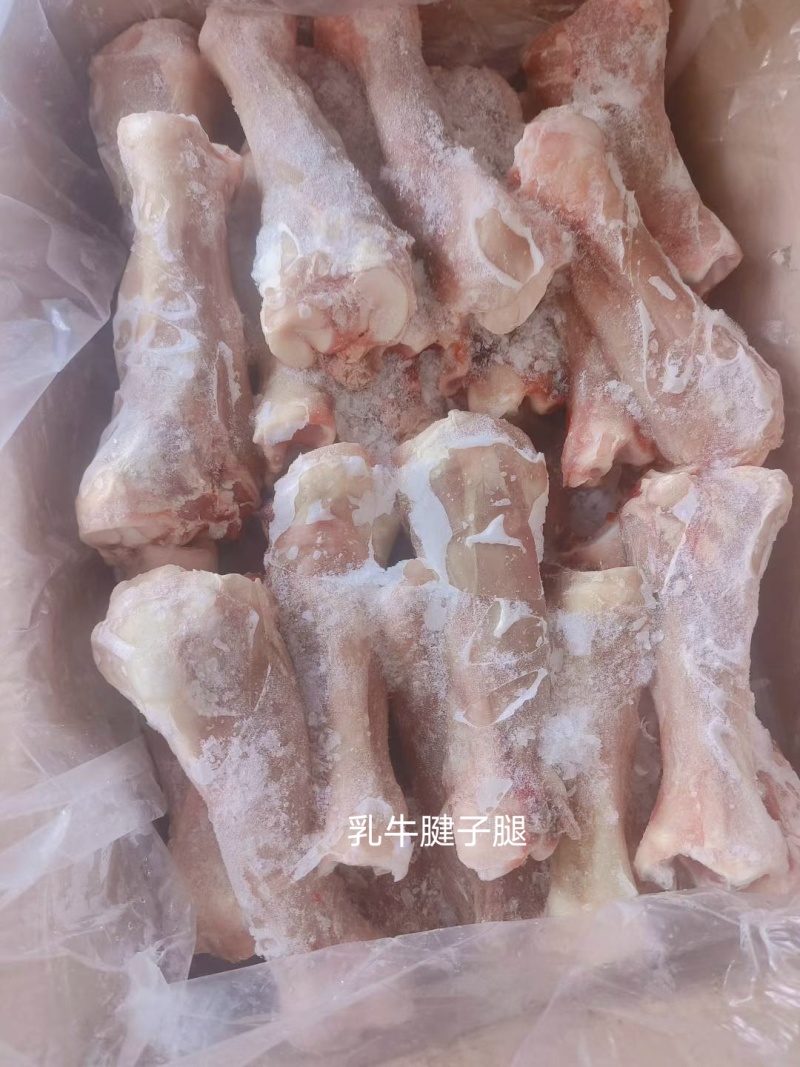 乳牛腱子腿