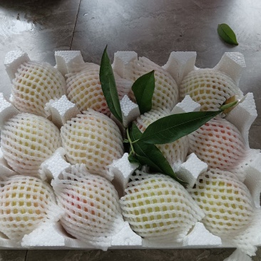 脆甜皮球桃