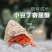 萌宠陆生寄居蟹懒宠必备户外活动伴侣