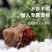 萌宠陆生寄居蟹懒宠必备户外活动伴侣