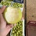 丁香梨🍐（蜂糖梨、早白蜜）脆甜.皮薄肉细