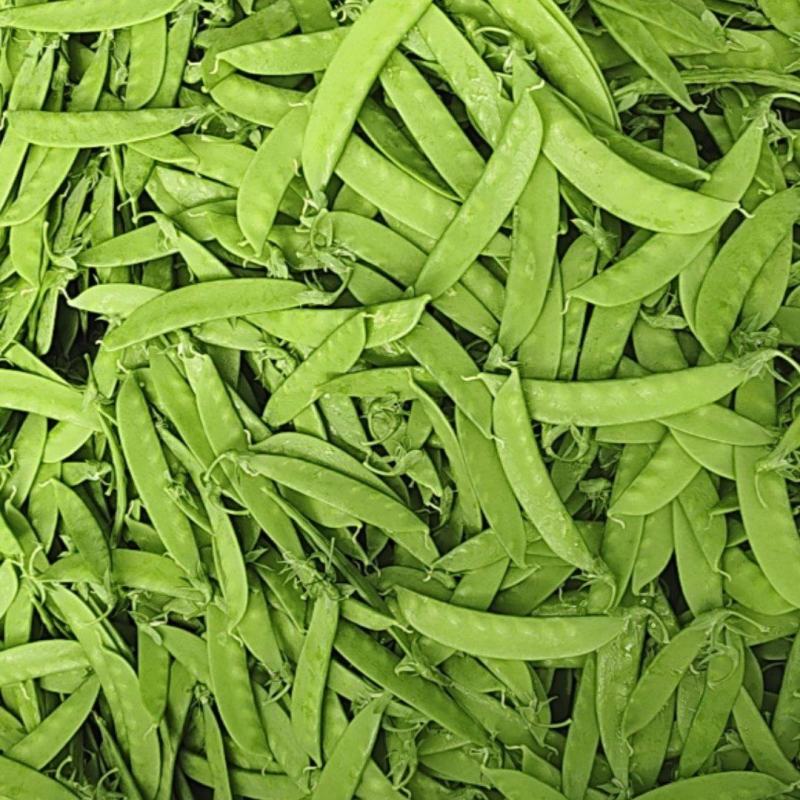现货小夹豆