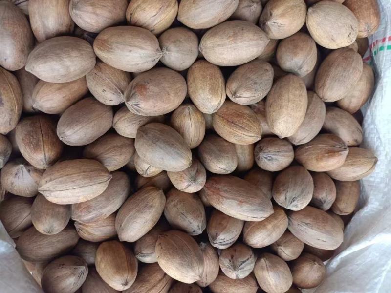 坚果源头工厂碧根果碎仁大颗粒品质
