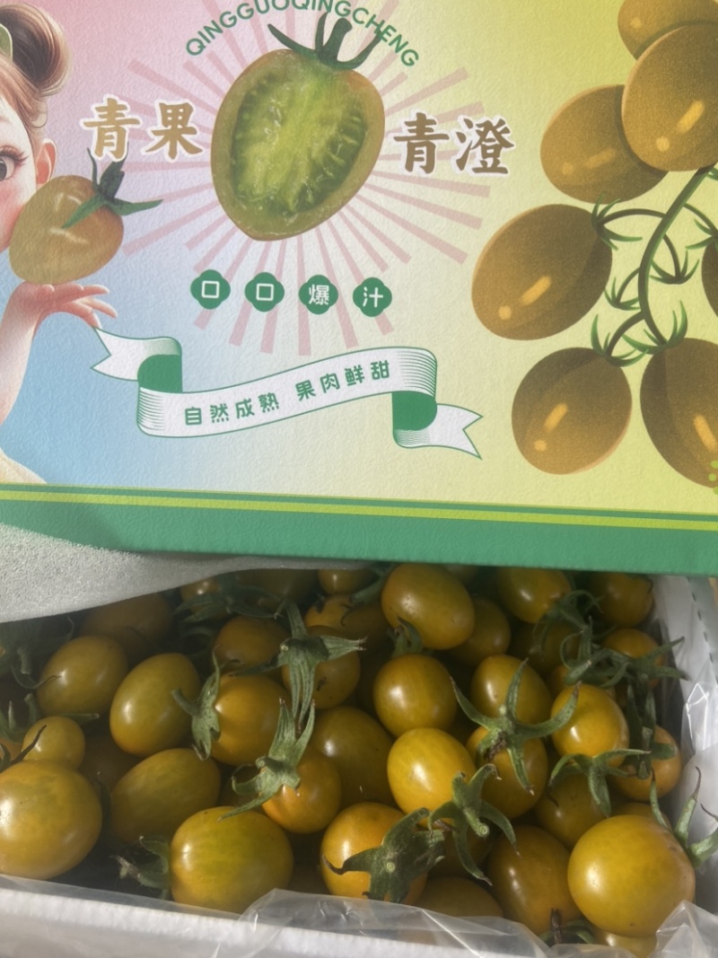 青果青澄