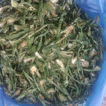 延边绿辣椒瓢，辣椒干