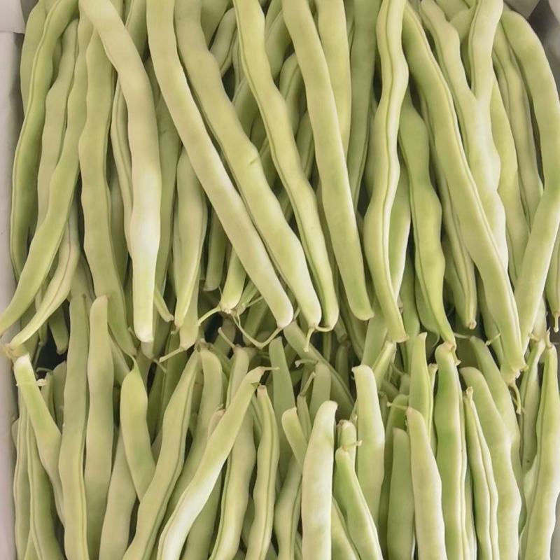 精品白豆角产地大量现货