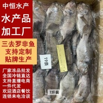 三去罗非鱼7斤装新鲜罗非鱼加工速冻厂家批发