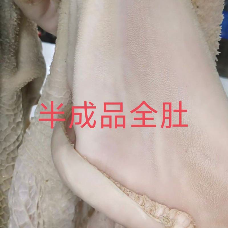 半成品全肚