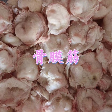 骨膜筋